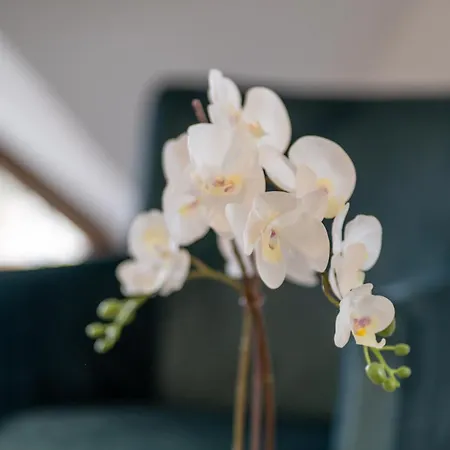 شقة Gacanovic Lux