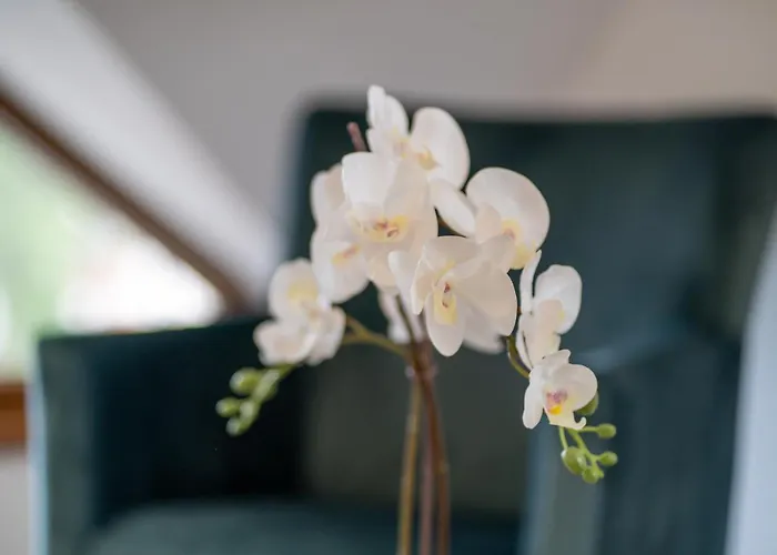 아파트 Gacanovic Lux